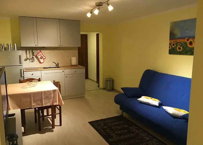 Apartment Branka