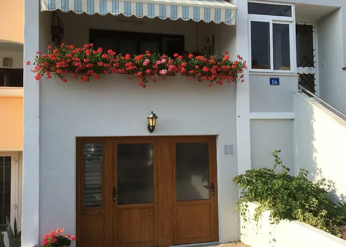 Apartment Branka
